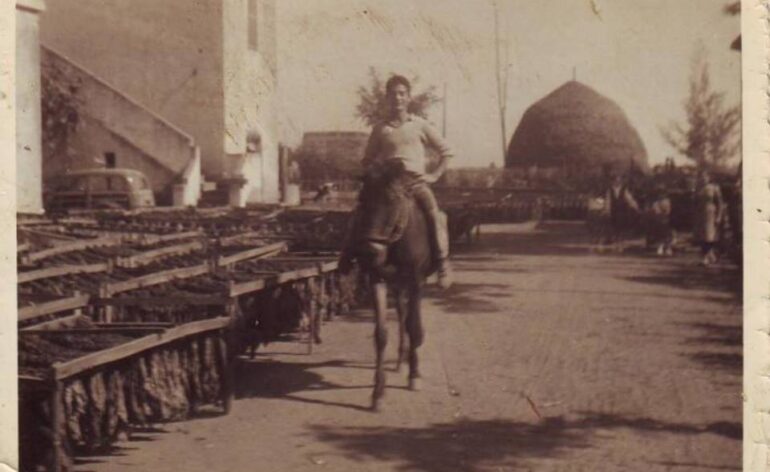 Fig. 27 I telarini con il tabacco messo ad essiccare e sullo sfondo un pagliaioFig. 27 I telarini con il tabacco messo ad essiccare e sullo sfondo un pagliaio