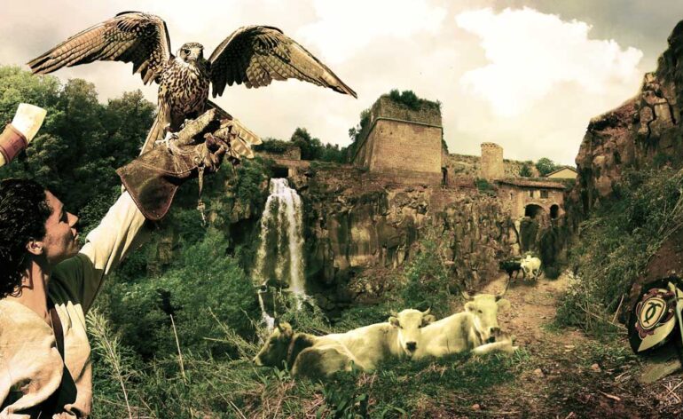 composit, grafica, studio grafico