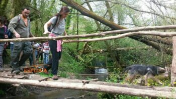 69763351_2410508685885307_6092722138022674432_n