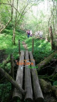 70327758_1320069101489850_6190067258253901824_n